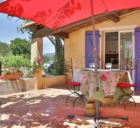 Villa Des Arnoux Dans La Vigne Ντραγκινιάν Εξωτερικό φωτογραφία